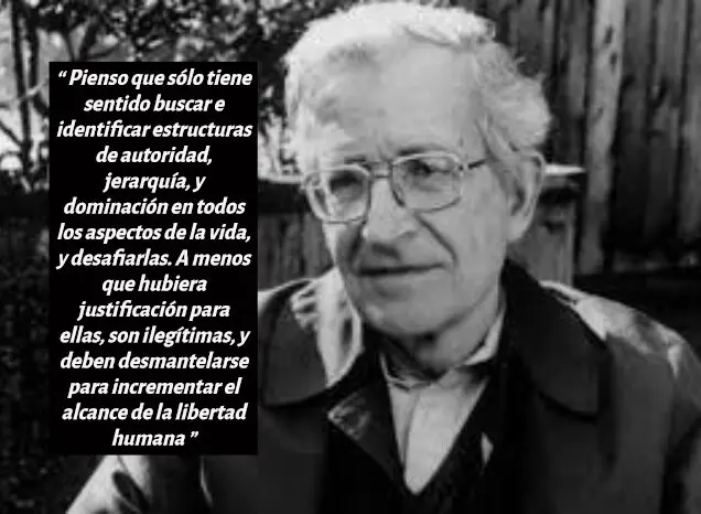 noam chomsky cita 25281 2529